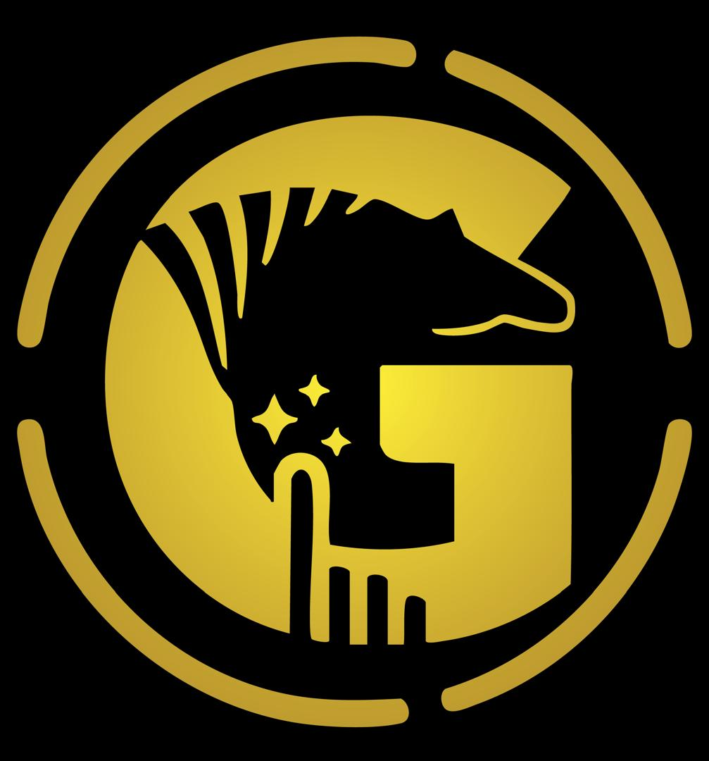 GTI Bank Logo